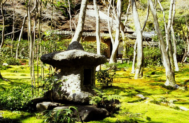 Kyoto Walk 5 Arashiyama Chris Rowthorn Tours